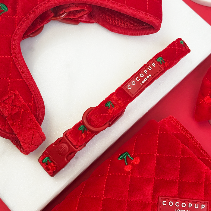 Red quilted dog collar with cherry embroidery, Cherry Velvet Crush by Cocopup London.