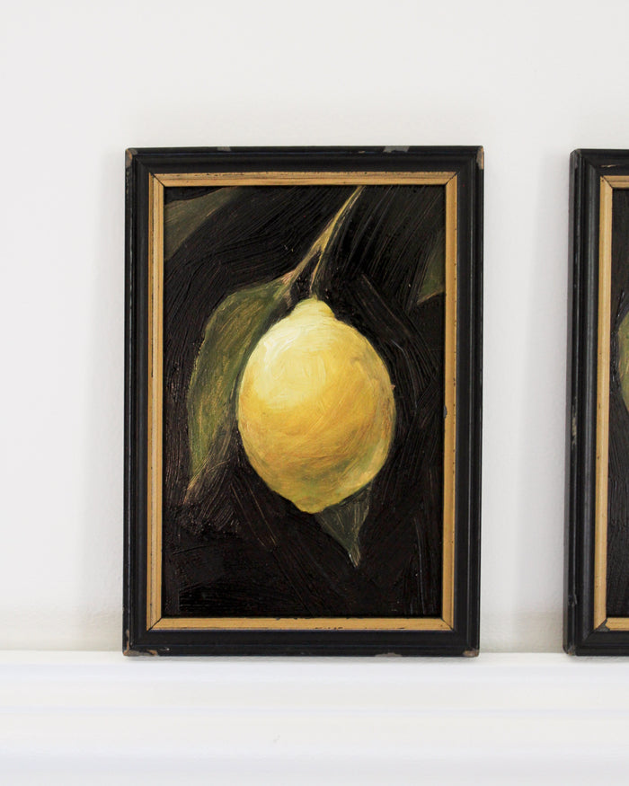 Citrus Kiss I | 4x6