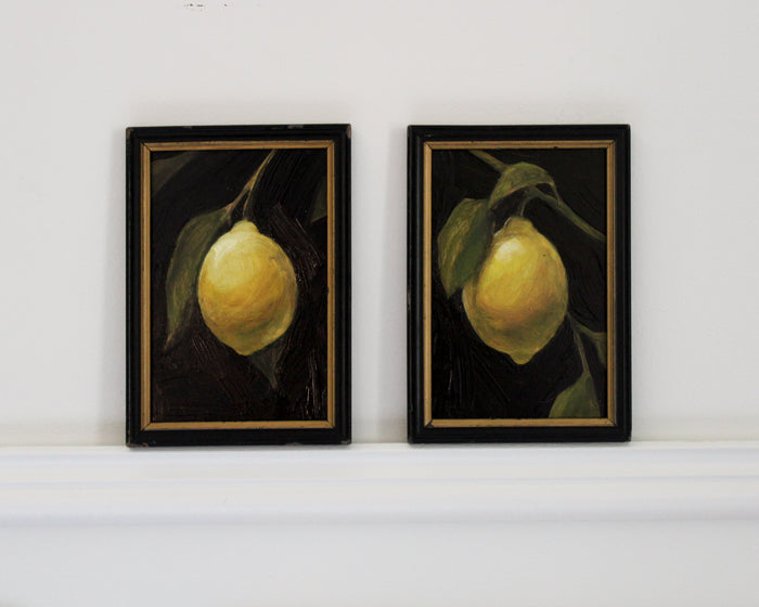Citrus Kiss I | 4x6
