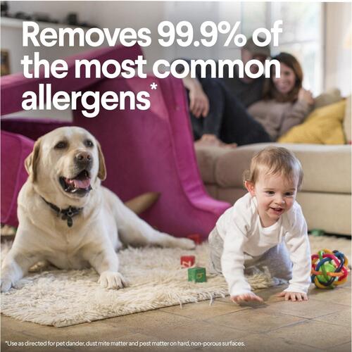 Clorox (01594)