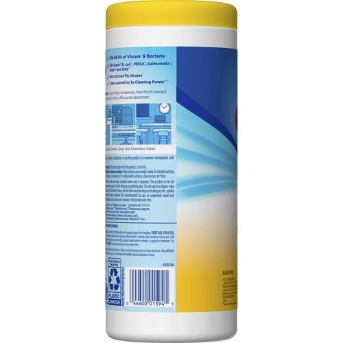 Clorox (01594)