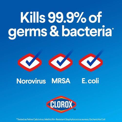 Clorox Disinfecting Bleach (32260CT)