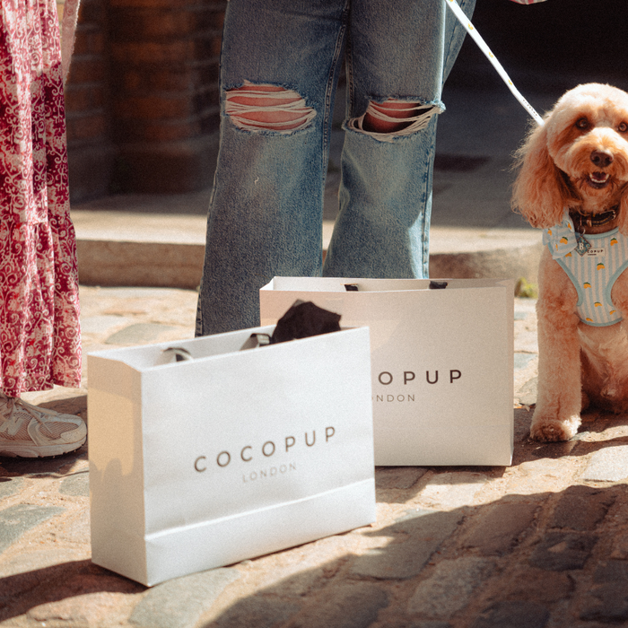 Two Cocopup London gift bags on cobblestones beside a fluffy dog in a patterned harness and owner wearing ripped jeans.