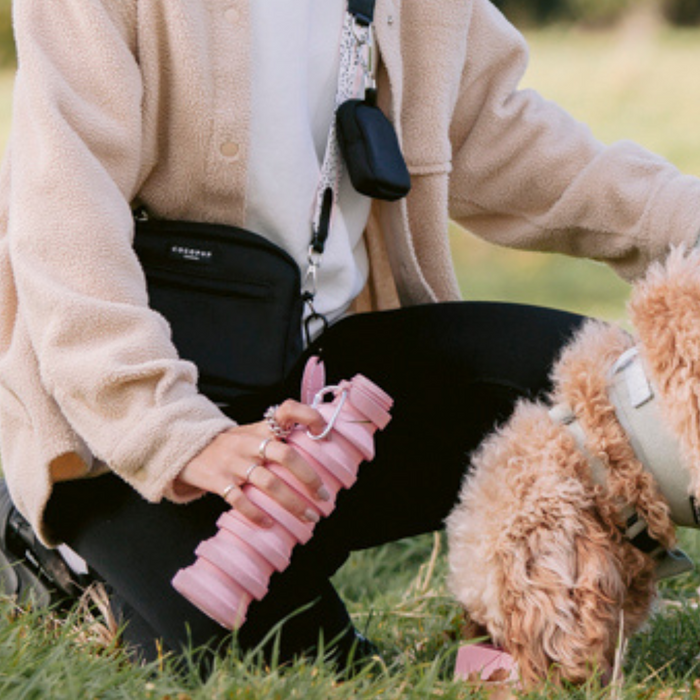 Person kneeling on grass holding a pink Cocopup London collapsible water bottle, petting a fluffy dog in a harness.