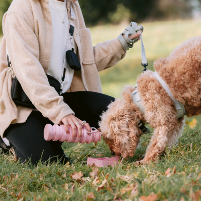 Pink Cocopup London collapsible water bottle pouring water into a dog’s bowl on grass.