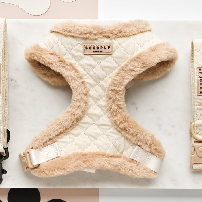 A stylish, plush beige harness labeled "Cocopup London" is displayed on a marble surface. This quilted adjustable neck harness features faux fur trim and comes with a fully adjustable chest strap for the perfect fit. Accompanied by a matching leash and accessories, the setup is complemented by a soft, neutral color palette in the background.