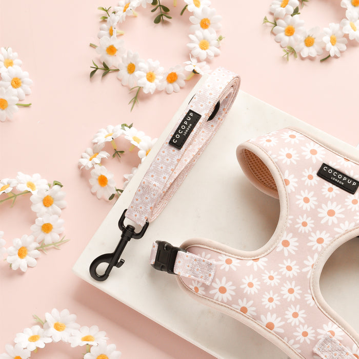 A Daisy Chain Adjustable Neck Harness, Lead & Collar Bundle from Cocopup London lies on a marble slab, surrounded by daisy flower crowns and set against a pink background. The light pink dog harness with a daisy pattern features an adjustable neck harness with a safety lock feature and has brand tags reading "Cocopup.