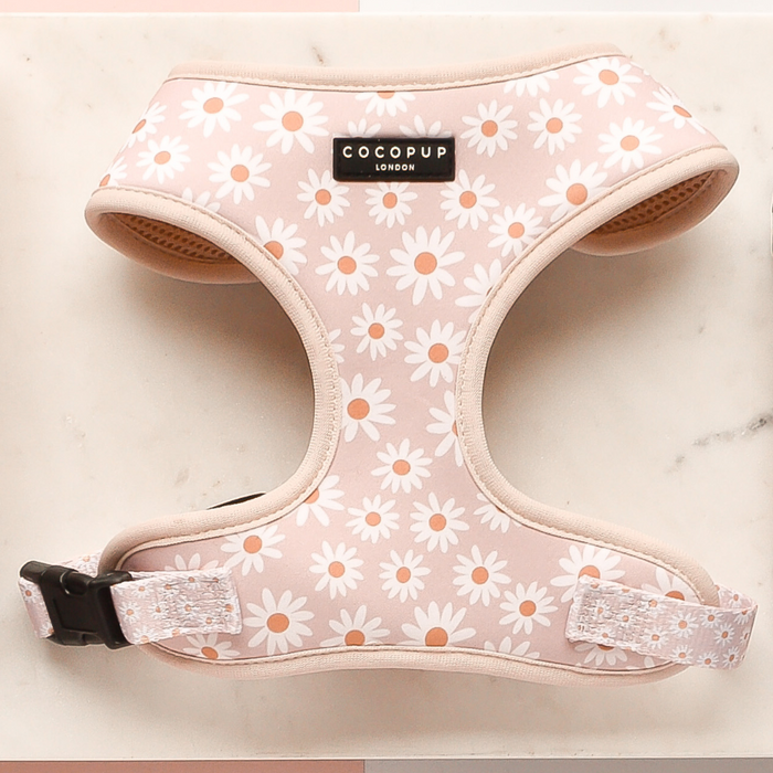 daisy chain adjustable neck dog harness