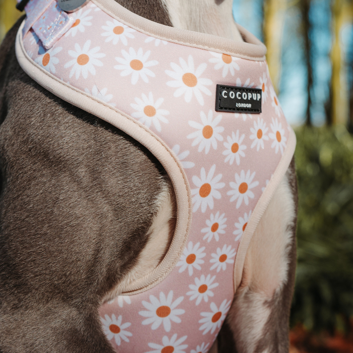 A playful pup wearing a Cocopup London Daisy Chain Adjustable Neck Harness with white daisy patterns stands outdoors. In the background, trees and greenery are slightly out of focus.