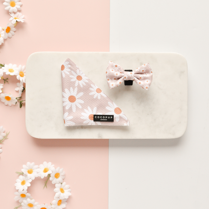 The Daisy Chain Bandana by Cocopup London, along with a matching bow tie, is displayed on a white marble surface. The background is split diagonally into pink and white sections, adorned with daisy flowers scattered on the pink side, creating a fresh and playful look. This lightweight and breathable set in lovely shades of pink and white is perfect for pets.