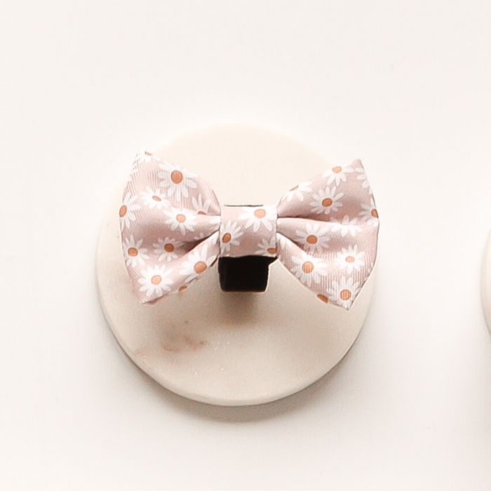 daisy chain dog bow tie