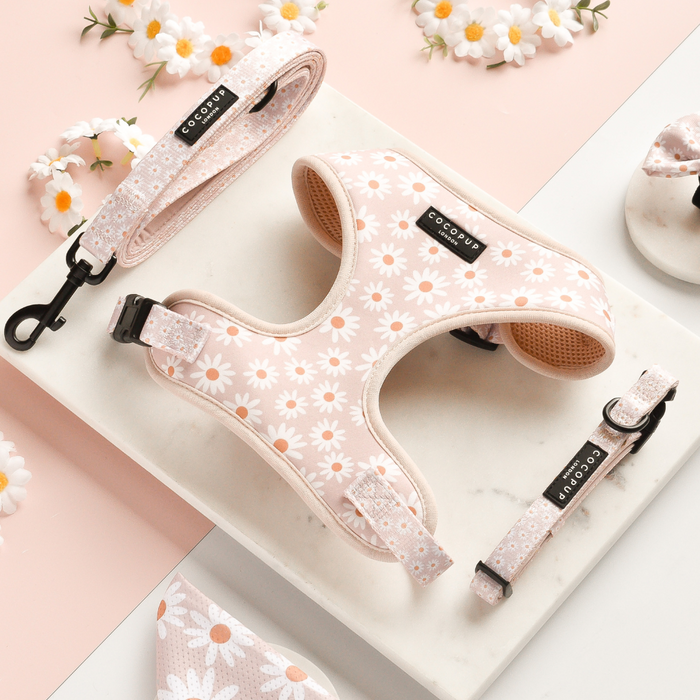 Pink Cocopup London Daisy Chain Collar with white daisy pattern, displayed on marble surrounded by small flowers.