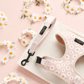 daisy chain dog lead