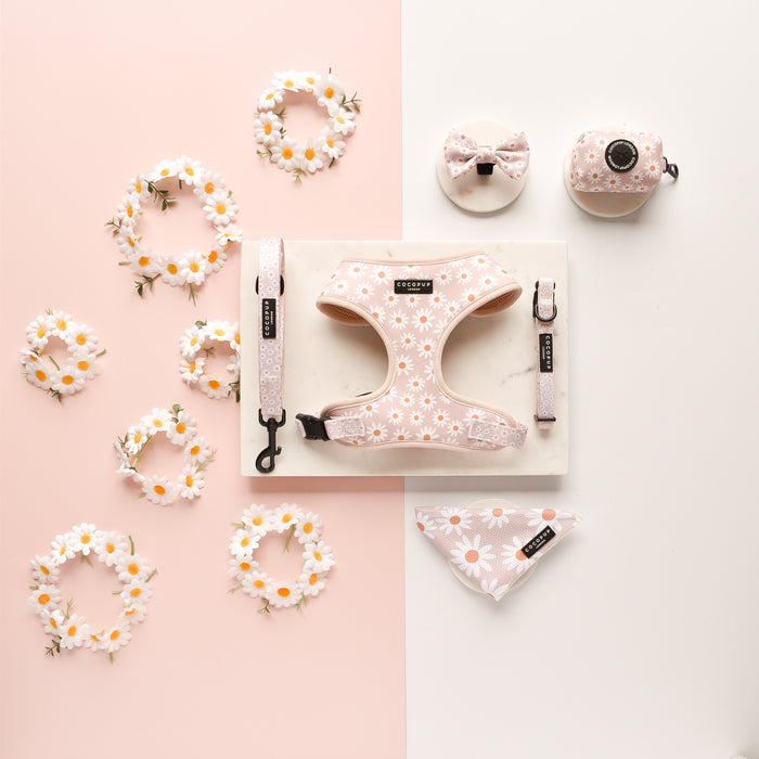 Daisy-print poop bag holder from Cocopup London, featuring white daisies on pale pink, set against a pink background.
