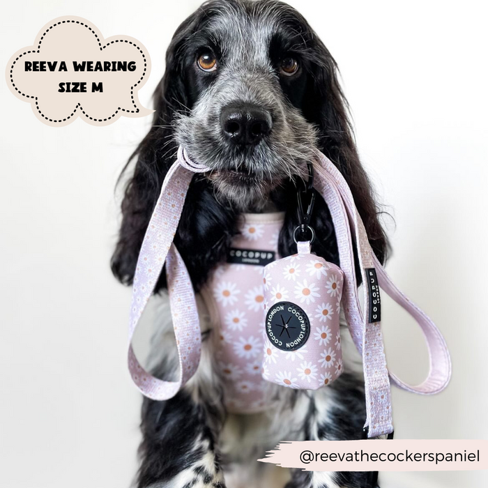 Black and white cocker spaniel in a pink harness with daisy pattern, carrying a matching Cocopup London poop bag holder.