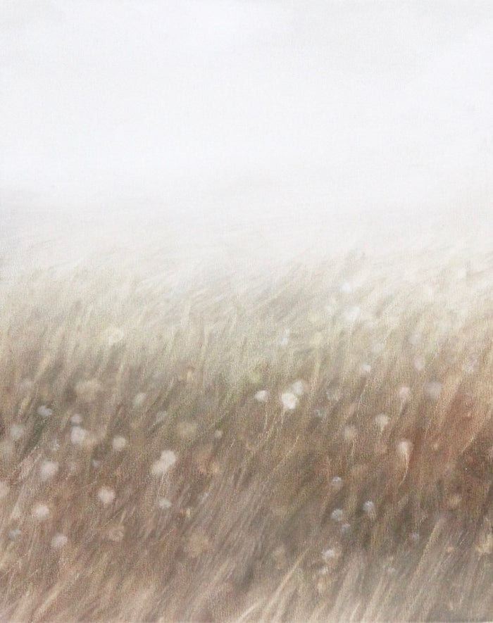 Dandelion Field | 8x10