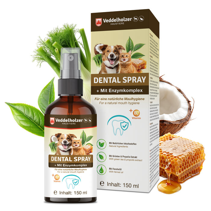 Braune Sprühflasche Dental Spray 150 ml neben der Faltschachtel, umgeben von Fenchel, Grünteeblättern, Kokosnuss und Honigwabe