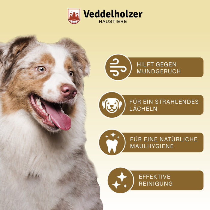 Australian Shepherd mit heraushängender Zunge, daneben vier Vorteile: gegen Mundgeruch, strahlendes Lächeln, natürliche Maulhygiene