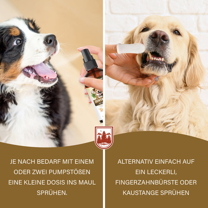 Zwei Anwendungen: ein bis zwei Pumpstöße ins Maul des Welpen oder Sprühen auf Fingerzahnbürste, Leckerli bzw. Kaustange