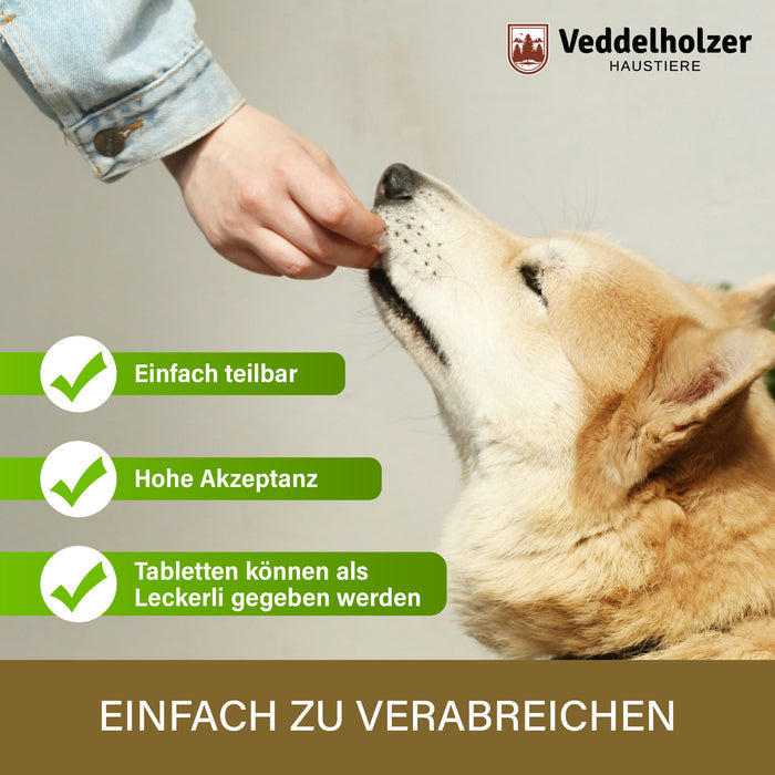 Hand hält einem hellen Hund eine Tablette hin: einfach teilbar, hohe Akzeptanz, auch als Leckerli zu geben