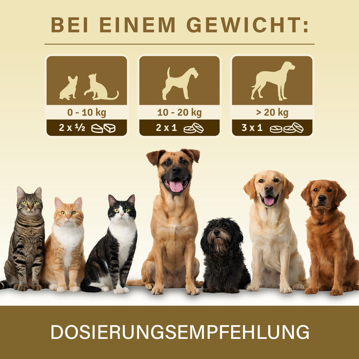 Dosierung nach Gewicht: 2 x ½ Tablette bis 10 kg, 2 x 1 bis 20 kg, 3 x 1 ab 20 kg – darunter drei Katzen und vier Hunde