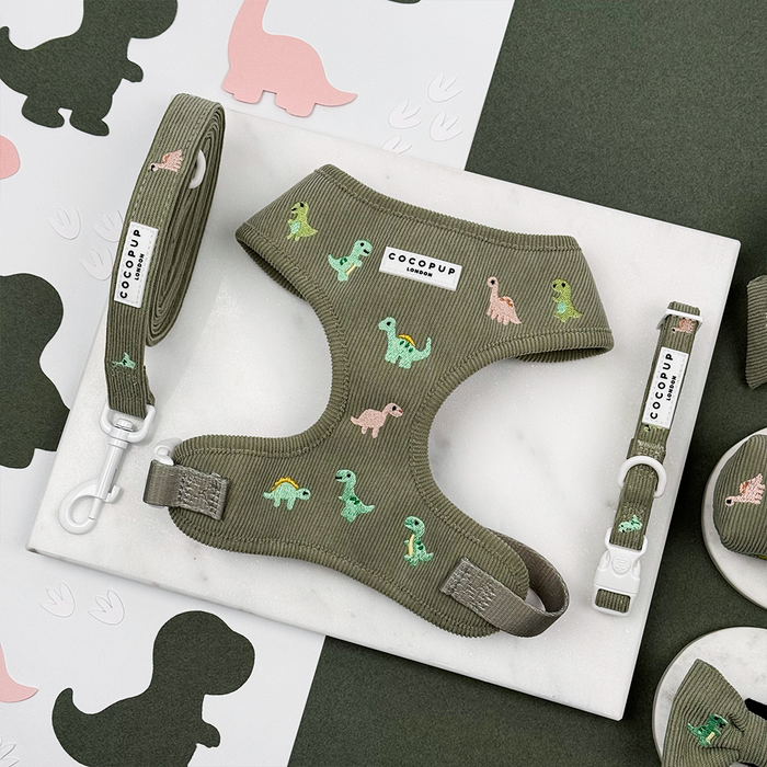 Green corduroy material Dog Lead, Harness & Collar with embroidered dinosaurs.