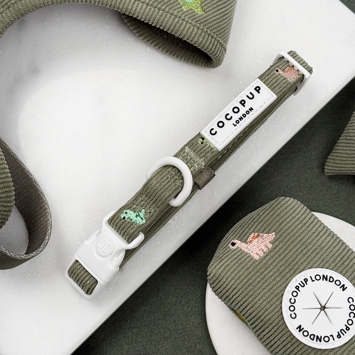 Green corduroy material Dog Collar with embroidered dinosaurs. White D Ring attachment.