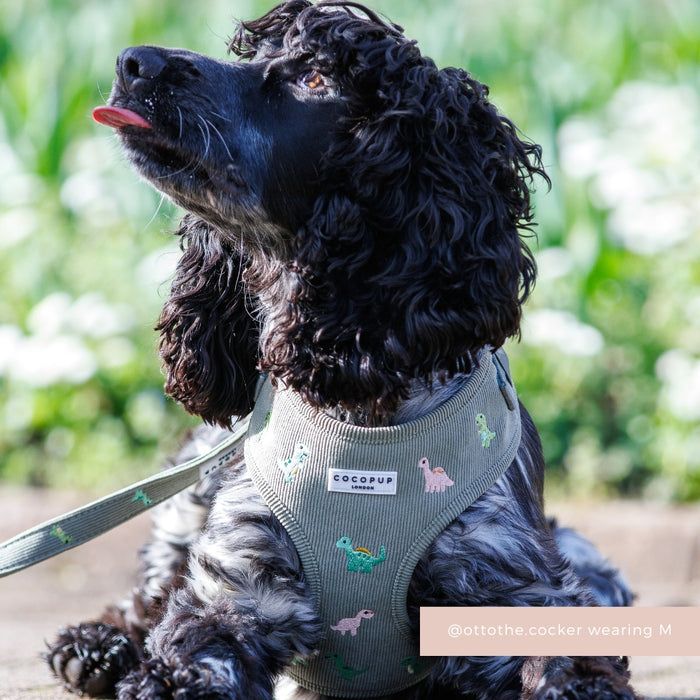 Black cocker spaniel sits outdoors wearing a green Dino Doodles adjustable harness by Cocopup London, tongue out.