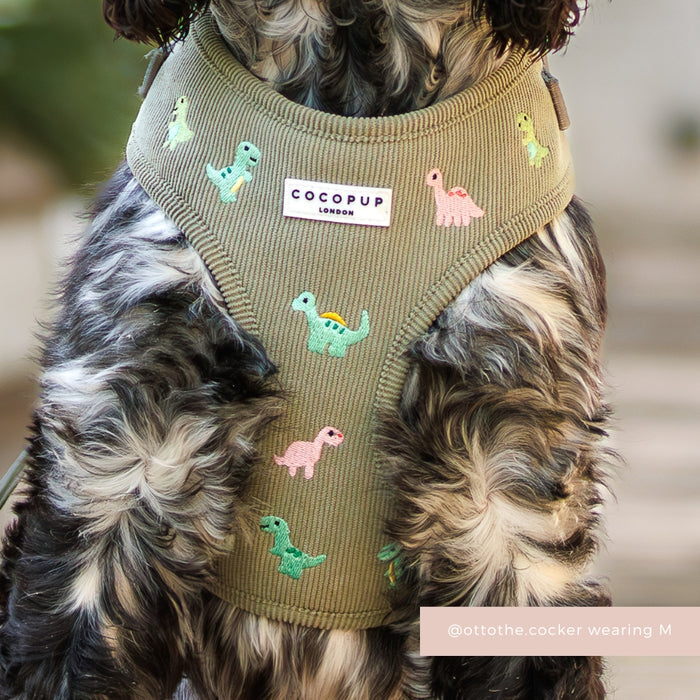 Dog in a Cocopup London harness featuring an adjustable neck and colorful dinosaur print.