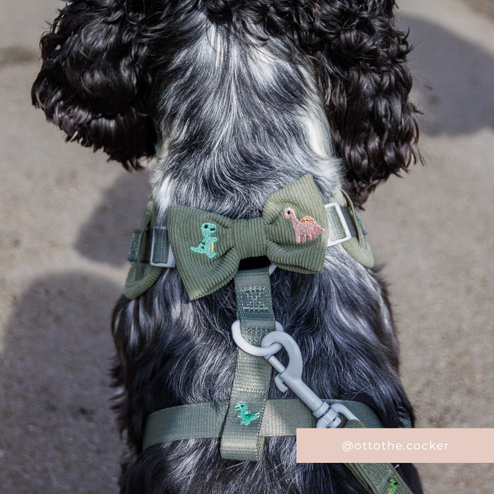 Black and white dog wearing a Cocopup London corduroy bow tie with small dinosaur patches.