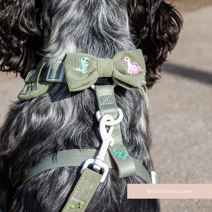 Black and white dog wearing an olive green Cocopup London Dino Doodles bow tie with dinosaur patches.