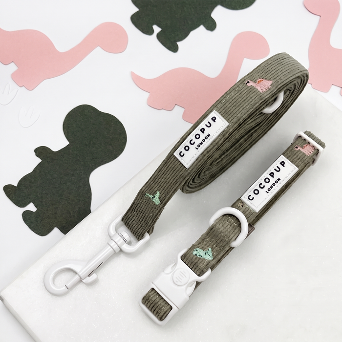 Dino Doodles Collar & Lead Bundle