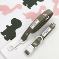 Dino Doodles Collar & Lead Bundle