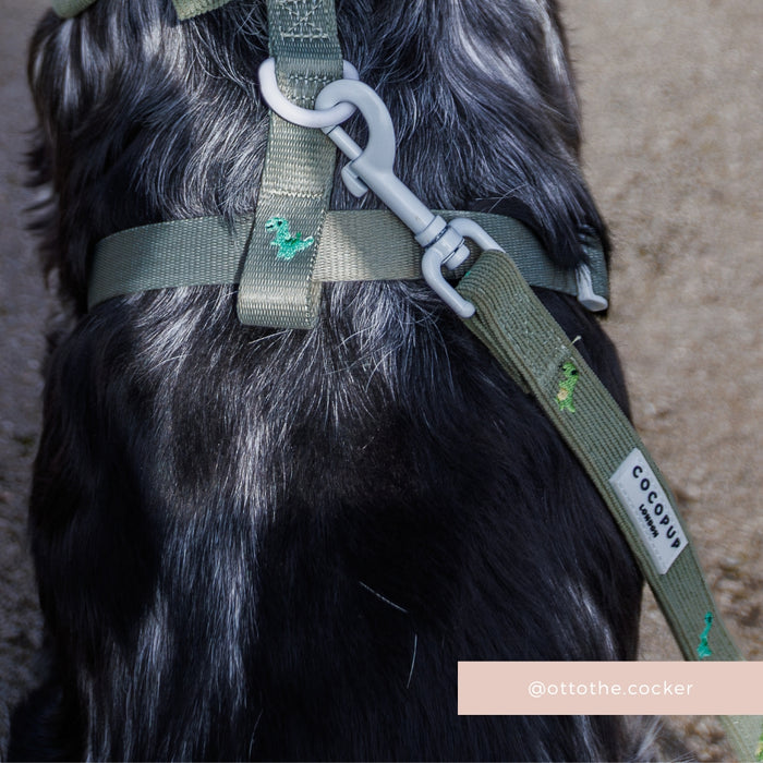 Black dog wearing a green harness and Dino Doodles lead from Cocopup London, cocopup tag visible.