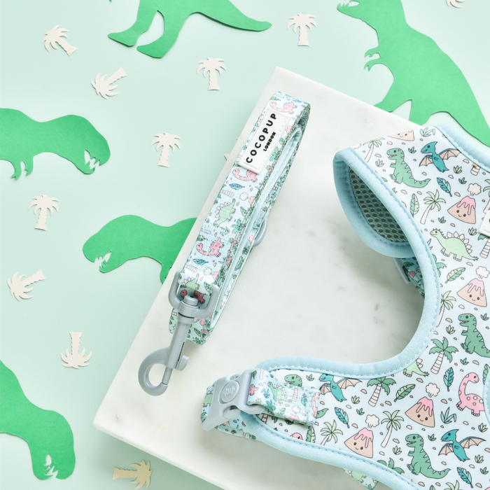 Light blue Dinopaws harness, lead, and collar set with colorful dinosaur print on a pastel background.