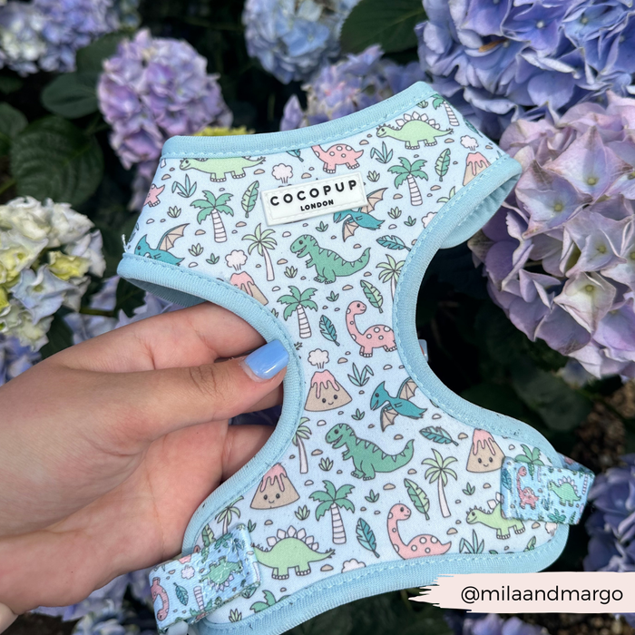 A hand holds a light blue Dinopaws Adjustable Neck Harness, Lead & Collar Bundle with a playful dinosaur design, made by Cocopup London. The background features blooming hydrangea flowers in shades of purple, blue, and white. An Instagram handle "@milaandmargo" is visible in the bottom right corner.