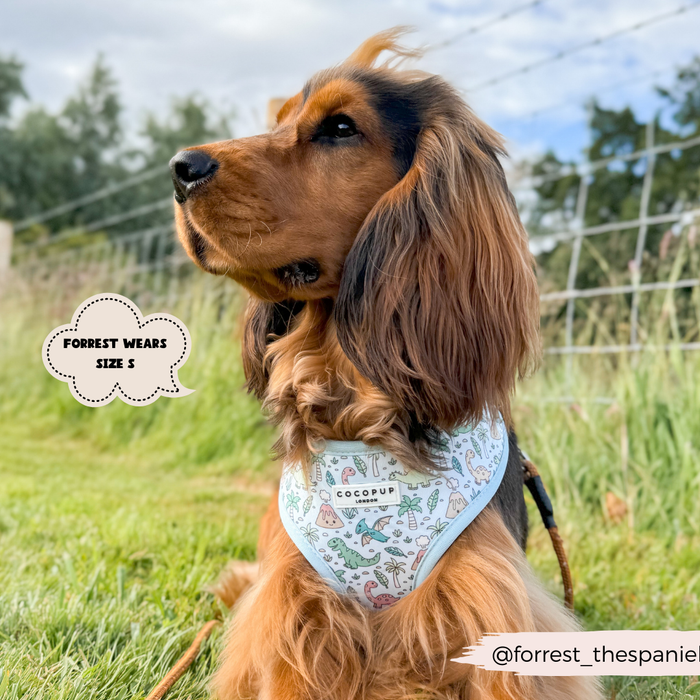 A brown and black spaniel dog sits on grass, wearing a white, nature-patterned Dinopaws Adjustable Neck Harness by Cocopup London. Text on the image reads "FORREST WEARS SIZE S" and "@forrest_thespaniel." A wire fence and greenery are visible in the background.