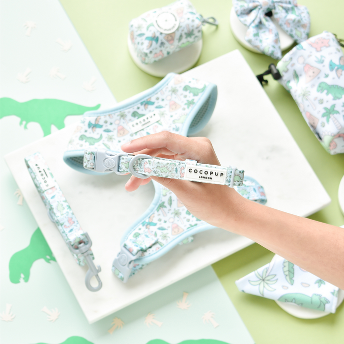 Hand holding a green Cocopup London dog collar with dinosaur print; matching collar accessories next to it.