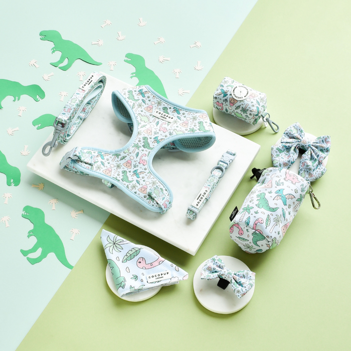Pastel dinosaur print dog collar, matching leash, and bow tie set with adjustable buckle.
