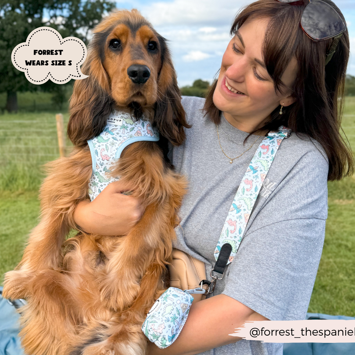 Woman holding brown spaniel in blue harness with a Cocopup London Dinopaws patterned poop bag holder, tag reads Forrest wears S.