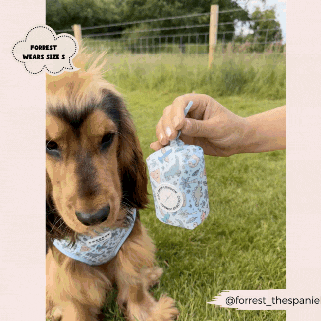 Brown dog in blue bandana on grass with a Cocopup London Dinopaws poop bag holder decorated with colorful dinosaurs.