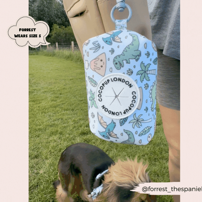 Dinopaws poop bag holder with dinosaur print clipped to a bag, small dog sniffing grass in the background.