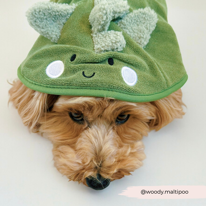 A dog with curly fur is wearing a PRE-ORDER Dinopup Drying Robe from Cocopup London, made of premium microfibre and adorned with a smiling face and antennae, resembling a cute creature. The Velcro patches secure the green hooded towel snugly. The dog looks relaxed and content. A watermark with "@woody.malipoo" is in the bottom right corner.