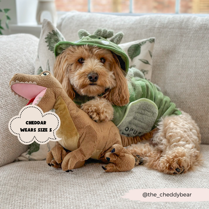 A fluffy brown dog dressed in a green PRE-ORDER Dinopup Drying Robe from Cocopup London sits on a beige couch beside a plush dinosaur toy. The dog is referred to as "Cheddar" through a text bubble that reads "Cheddar wears size S". The Instagram handle @the_cheddybear is visible in the corner, showcasing the Dinopup Drying Robe with Velcro patches.