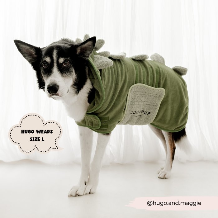A black and white dog is dressed in a green dinosaur costume with grey spikes along the back, standing in front of a sheer white curtain. A speech bubble on the left says "Hugo wears size L." The Instagram handle "@hugo.and.maggie" is in the bottom right corner. This adorable look pairs perfectly with our Cocopup London PRE-ORDER Dinopup Drying Robe!