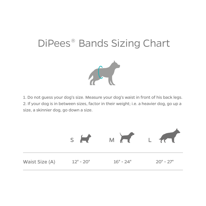 DiPees™ Disposable Belly Bands