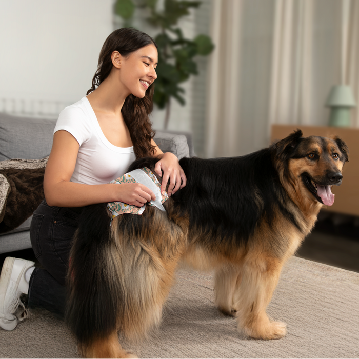 DiPees™ + Odor Control Disposable Dog Diapers
