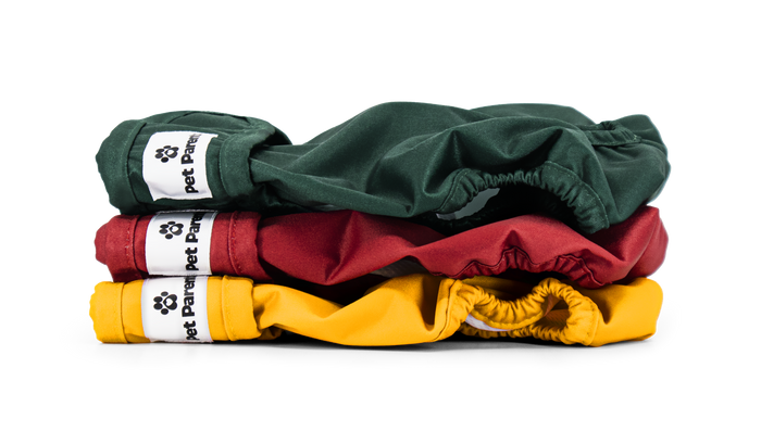 Samba (Green + Red + Yellow) / Extra Small ( 4-10")