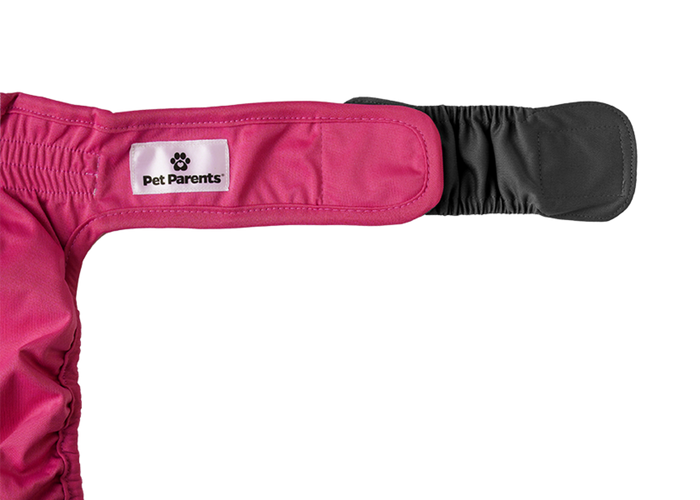 Dog Diapers (3-Pack) + Extendrs®