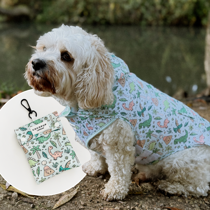 Small white dog outdoors wearing a Cocopup London Dinopaws raincoat with matching patterned pouch next to it.